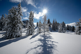 Styrian winter landscape | © Steiermark Tourismus | Tom Lamm