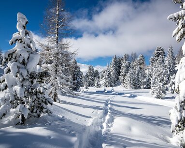 Steirische Winterlandschaft | © Steiermark Tourismus | Tom Lamm