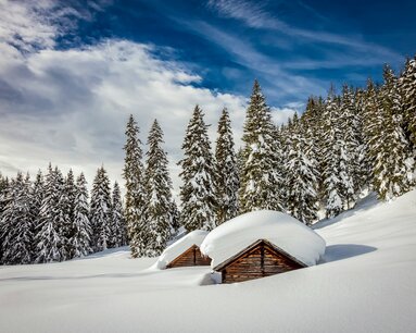Viehbergalm im Winter | © Steiermark Tourismus | photo-austria.at