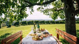 the table is set, during summer vacation | © Steiermark Tourismus | Bernhard Bergmann