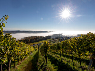 Weinlandschaft rund um Klöch im Morgenlicht, Südoststeiermark | © Steiermark Tourismus | Tom Lamm