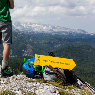 View to the Dachstein glacier: hiking route "From the glacier to the wine" | © Steiermark Tourismus | Tom Lamm