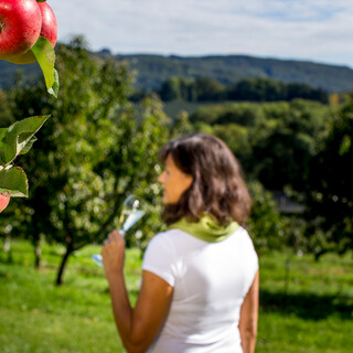 Apfelfrizzante direkt im Obstgarten verkostet: Obstbau Wilhelm an der steirischen Apfelstraße, nahe Puch bei Weiz | © Steiermark Tourismus | Tom Lamm