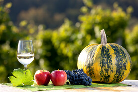 Die kulinarische Dreifaltigkeit: Wein, Apfel, Kürbis | © Steiermark Tourismus | Harry Schiffer